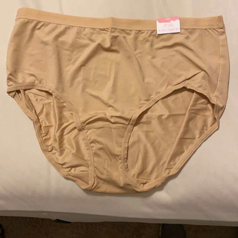 New Lane Bryant stretch panties.  Very comfortable
